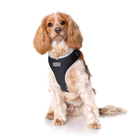 Doog DOOG HARBFLSOFT-L: Neoflex Dog Harness Lassie, Large HARBFLSOFT-L